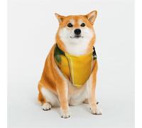 Dog Bandana Oranges Orange Juice Dog Scarf Adjustable Pet Bandanas for Dogs Christmas Pets Scarf Triangle Bibs Kerchief Soft Breathable Puppy Bandana for Small Medium Large Cats Pet