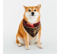 Dog Bandana Red Fruit in a Basket Dog Scarf Adjustable Pet Bandanas for Dogs Christmas Pets Scarf Triangle Bibs Kerchief Soft Breathable Puppy Bandana for Small Medium Large Cats Pet