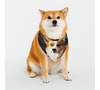 Dog Bandana Smart Corgi Dog Scarf Adjustable Pet Bandanas for Dogs Christmas Pets Scarf Triangle Bibs Kerchief Soft Breathable Puppy Bandana for Small Medium Large Cats Pet