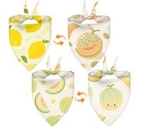 Dog Bandanas 2 Pack, 4 Patterns Pet Bandana, Lemon Melon Bandanas for Dogs, Summer Dog Scarf Reversible for Large Medium Small Dogs Pet