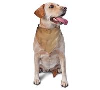 Dog Bandanas,Bird's-eye view Breathable Pet Scarf, Adjustable Washable Polyester Bandana for Small Medium Large Dogs and Cats, Soft Daily Fashion & Photo Prop Accessory for Boy Girl Puppy