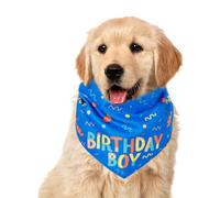Dog Bandanas Boy - Triangle Scarf, Birthday Outfit | Adjustable Soft Bandana With Cute Bone Print And Toy For Small Pets, Walking Accessory Spring Outdoor Activities, Holiday Celebrations, Indoor Use,