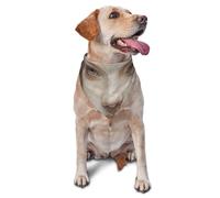 Dog Bandanas,Broken ceramic tiles Breathable Pet Scarf, Adjustable Washable Polyester Bandana for Small Medium Large Dogs and Cats, Soft Daily Fashion & Photo Prop Accessory for Boy Girl Puppy