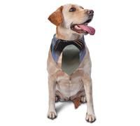 Dog Bandanas, Dockyard, Magic Water Gate Full Print Pet Scarf, Adjustable Breathable Bandana for Small Medium Large Dogs, Independence Day Costume Accessory