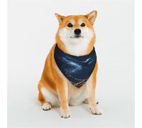 Dog Bandanas Double-Sided Printed Pet Scarves for Boys and Girls Perfect for Spring, Easter and Birthdays Flying Phoenix