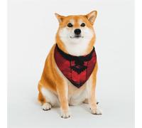 Dog Bandanas Double-Sided Printed Pet Scarves for Boys and Girls Perfect for Spring, Easter and Birthdays Albania Flag