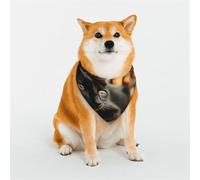 Dog Bandanas Double-Sided Printed Pet Scarves for Boys and Girls Perfect for Spring, Easter and Birthdays The Waiting Cat
