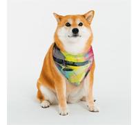 Dog Bandanas Double-Sided Printed Pet Scarves for Boys and Girls Perfect for Spring, Easter and Birthdays East-West Fusion