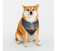 Dog Bandanas Double-Sided Printed Pet Scarves for Boys and Girls Perfect for Spring, Easter and Birthdays The Milky Way Shines Brightly