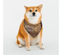 Dog Bandanas Double-Sided Printed Pet Scarves for Boys and Girls Perfect for Spring, Easter and Birthdays Karst cave