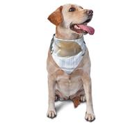 Dog Bandanas, Fish floating in the bedroom Full Print Pet Scarf, Adjustable Breathable Bandana for Small Medium Large Dogs, Independence Day Costume Accessory