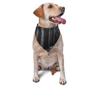 Dog Bandanas, Giant Stone Berlin Full Print Pet Scarf, Adjustable Breathable Bandana for Small Medium Large Dogs, Independence Day Costume Accessory