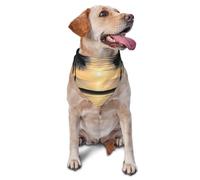 Dog Bandanas,Palm trees on the beach Breathable Pet Scarf, Adjustable Washable Polyester Bandana for Small Medium Large Dogs and Cats, Soft Daily Fashion & Photo Prop Accessory for Boy Girl Puppy