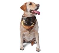 Dog Bandanas,The fire pit in the destroyed library Breathable Pet Scarf