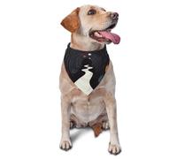 Dog Bandanas,The path through the dense forest Breathable Pet Scarf, Adjustable Washable Polyester Bandana for Small Medium Large Dogs and Cats, Soft Daily Fashion