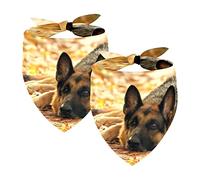 Dog Bandanas,Triangle Bibs 2 Pcs,Pet Scarf,dog german shepherd autumn,Pet Bandana for Large Pets Dogs