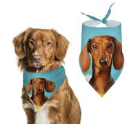 Dog Bandanas with Dachshund Dog Printed Dog Scarf Dog Bibs Washable Polyester Handkerchief Scarf Triangle Bandana for Small Medium Large Dogs