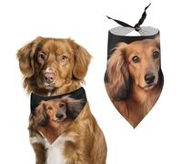 Dog Bandanas with Long Haired Dachshund Printed Dog Scarf Dog Bibs Washable Polyester Handkerchief Scarf Triangle Bandana for Small Medium Large Dogs