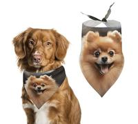 Dog Bandanas with Pomeranian Dog Printed Dog Scarf Dog Bibs Washable Polyester Handkerchief Scarf Triangle Bandana for Small Medium Large Dogs