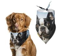 Dog Bandanas with Puppy Dog Boston Terrier Printed Dog Scarf Dog Bibs Washable Polyester Handkerchief Scarf Triangle Bandana for Small Medium Large Dogs