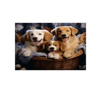 Dog Baskets and Dogs Placemats Set 30x45cm Heat Resistant Washable Placemat Waterproof Table Placemats Non-Slip Wipeable Tables Mat Kitchen Place Mats for Dining Party Home Decor