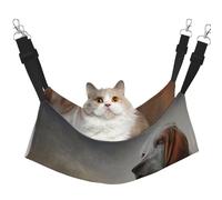 Dog Basset Hound,Cat Hanging Hammock Soft Double Sided Hanging Bed for Small Dogs Pet,M