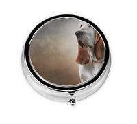 Dog Basset HoundMeta Pill Box 3 Compartment Medicine Case,Portable Organizer