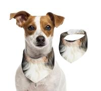 Dog Bearded Collie Funny Nose,Pet Bib Scarf Cats Dog Bandana Dogs Towel Bib Adjustable Pet Scarf,L