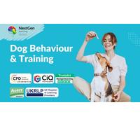 Dog Behaviour & Training - Online Course