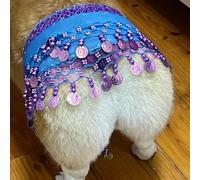 Dog Belly Dancer Skirt, Dog Belly Dancer Skirt with Shaking Hip Scarf Sequins, Puppy Outfit Waistband for Small Medium Dogs, Corgi Waist Chain Butt Curtain Clothes for Holidays, 41.3" (Light Blue)