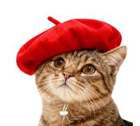 Dog Beret Hat,Adjustable Photo Prop - Artist Beanie | for Theater Performance Holiday Party Cosplay Stage Show Family Gathering Masquerade Festival Celebration