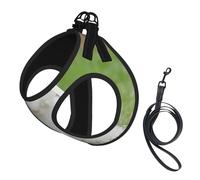 Dog Bichon Frise Dog Printed Harness And Leash Set,Adjustable,Breathable Soft,Step-In Mesh Pet Vest Harness With Reflective Strip