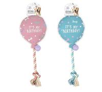 Dog Birthday Balloon Toy with Crinkle and Squeak, Rope Tail, Interactive Play, Pink and Blue (Pink)