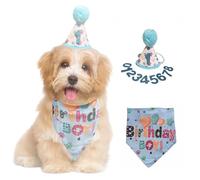 Dog Birthday Bandana Set | Cake Party Supplies with Adjustable Hat, Glitter Numbers, Reusable Scarf Cap, and Gifts | Pet Apparel Accessories in Blue(Boy)