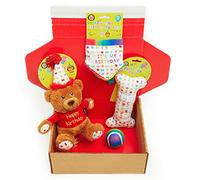 Dog Birthday Gift Box 4-Piece Hamper Present set, Perfect Dogs Happy Bday Celebration, includes Toys and Bandana (Small)