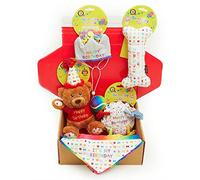 Dog Birthday Gift Box 6-Piece Hamper Present set, Perfect Dogs Happy Bday Celebration, includes Toys, Hat and Bandana (Small)