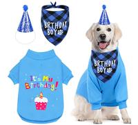 Dog Birthday Gift Set Supplies - Birthday Bandana, Sweater & Party Hat for Small, Medium & Extra Large Dogs Girl and Boy (Large, Birthday Blue)