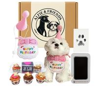 Dog Birthday Hamper Gift Set Bundle for Her - With Trio Mini Woofin Cake, Happy Birthday Pink Dog Bib and Hat, Iced Woofin Candle Cake and Doggy Paw Stamp | Gift for Pet Lovers | By Alfie & Friends