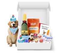 Dog Birthday Hamper Premium Gift Set for Boy Dogs | Includes Barking Bakery Iced Woofins, Cake Toy, Hat & Bandana, Card, Champagne Toy, Treats & Tennis Balls | Perfect Birthday Present for Dogs