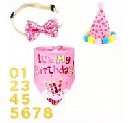 Dog Birthday Set 4Pcs Adjustable Party Hat Bandana Bow Tie with Number Stickers (Pink, One Size)