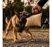 Dog Bite Pillow with Multi-Handle Design, 10.2 x 7.9 x 3.1 in