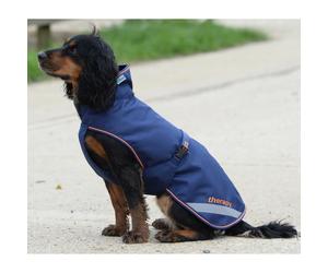 Dog Blanket Bucas Therapy