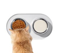 Dog Bowls with Mat Pet Feeder Placemat with 2 Bowls