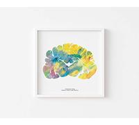 Dog Brain Art,8.5"x8.5" Artwork Print,Colorful Neurology, Neuroscience,Graduation and Thoughtful Gifts for Veterinarians,Calming Wall Art Decor for Veterinary Offices Signed by J. Sayuri