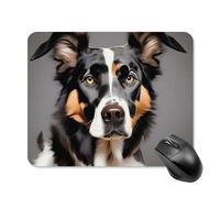 Dog Breed Mouse Pad Square Laptop Mouse Mat Cute Computer Mousepad Keyboard Pad Non-Slip Desk Pads for Gaming Office Work Home 20 * 25cm