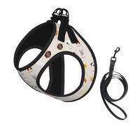 Dog Breed Print Pet Leash Vest Soft Adjustable Step in Puppy Vest Outdoor Walking with Leash
