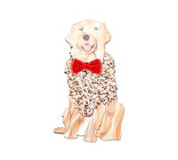 Dog Brooches Pin for Women Girls Lovely Lightweight Acrylic Cartoon Animal Puppy Corgi Labrador Brooches Badges Jewelry for Backpacks Clothes Jackets Hats, L, Acrylic, no gemstone