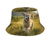 Dog Bucket Hat Unisex Lightweight Outdoor Summer Beach Fisherman Headwear Getaway Vacation