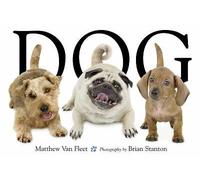 Dog by Matthew Van Fleet (author), Brian Stanton (photographer)