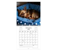 Dog Calendar 2026 - Monthly Wall Planner For Pet Lovers Organization | Thick Glossy Paper With Vibrant Canine Photography, Large Date Blocks, Hanging Hole Design For Home Office Decor